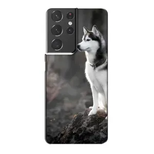 Чохол з Хаскі Samsung Galaxy S21 Plus - (AlphaPrint) (Вірний собака)