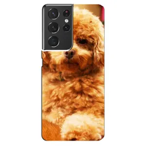 Чохли з собаками для Samsung Galaxy S21 ultra (VPrint) (Цуценя Бішон)