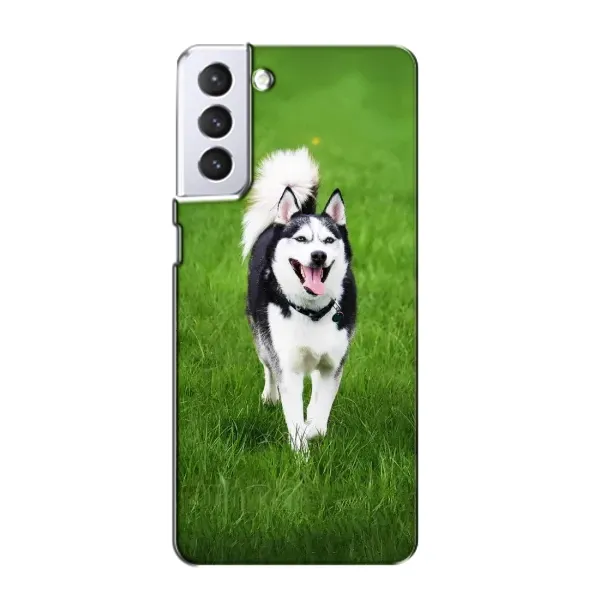 Чехол с принтом «Радостный Хаски» для Samsung Galaxy S21 Чехол с принтом «Радостный Хаски» для Samsung Galaxy S21