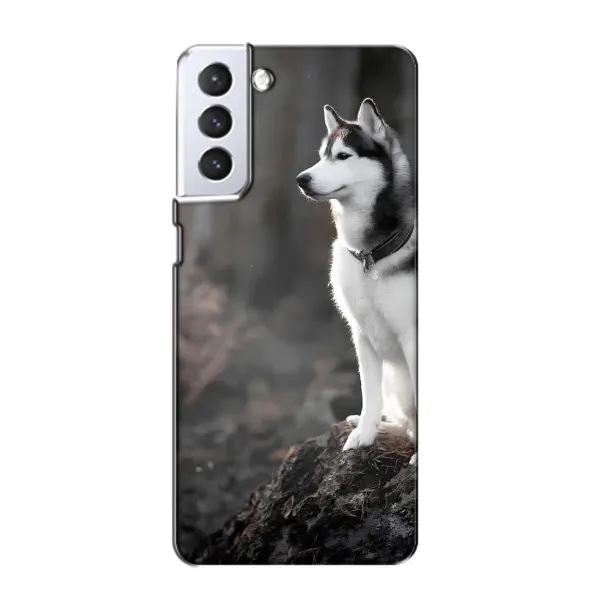 Чехол с принтом «Верный пес» для Samsung Galaxy S21 Чехол с принтом «Верный пес» для Samsung Galaxy S21