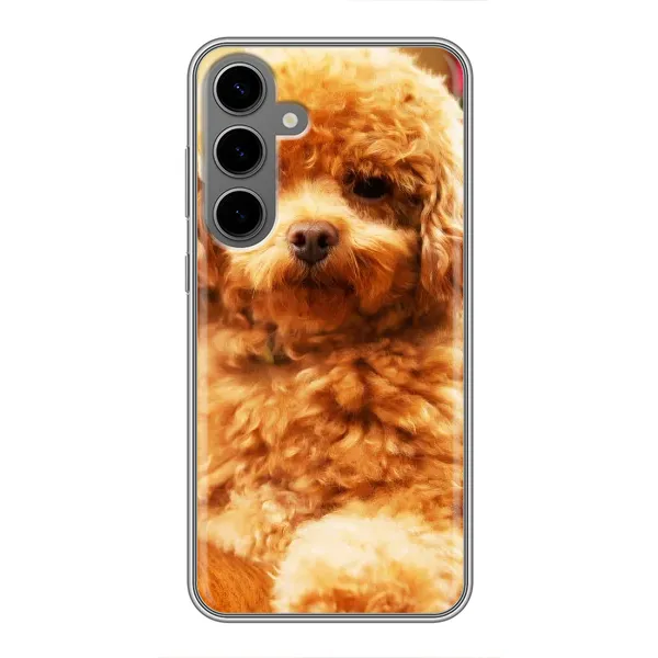 Чехол с принтом «Щенок Бишон» для Samsung Galaxy S24 Plus