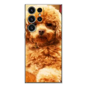 Чохли з собаками для Samsung Galaxy S25 Ultra (VPrint) (Цуценя Бішон)