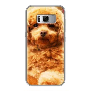 Чехлы с собаками для Samsung Galaxy S8 Plus, G955 (VPrint) (Щенок Бишон)