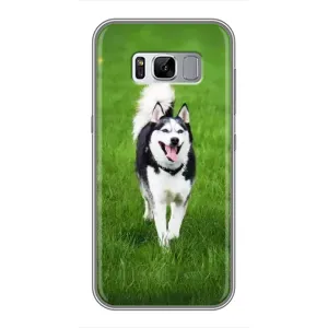 Чехол с Хаски для Samsung Galaxy S8, G950 - (AlphaPrint) (Радостный Хаски)