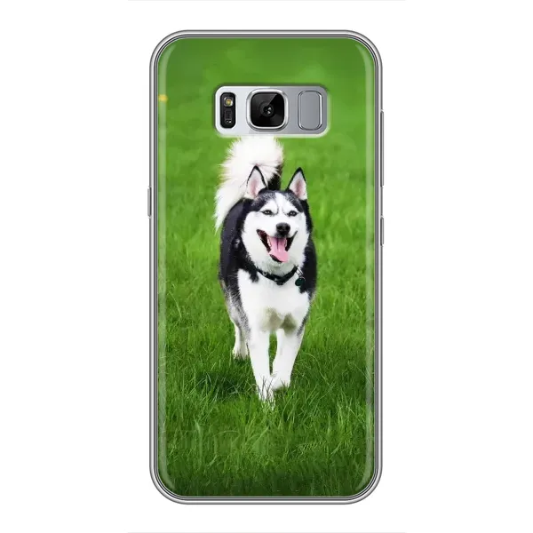 Чехол с принтом «Радостный Хаски» для Samsung Galaxy S8 (G950)