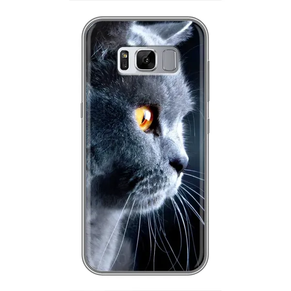 Чехол с принтом «Серый Кот» для Samsung Galaxy S8 (G950) Чехол с принтом «Серый Кот» для Samsung Galaxy S8 (G950)