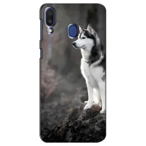 Чохол з Хаскі Samsung Galaxy M20 (M205) - (AlphaPrint) (Вірний собака)
