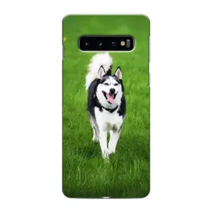 Чохол з Хаскі Samsung Galaxy S10e - (AlphaPrint) (Радісний Хаскі)