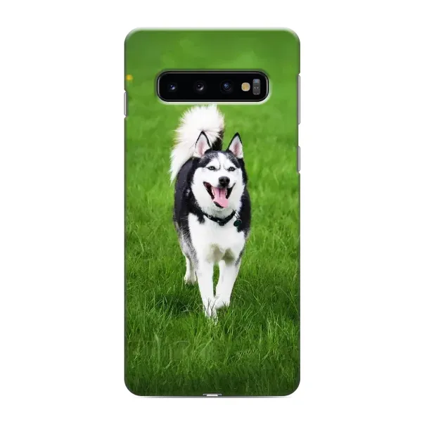 Чехол с принтом «Радостный Хаски» для Samsung Galaxy S10e Чехол с принтом «Радостный Хаски» для Samsung Galaxy S10e