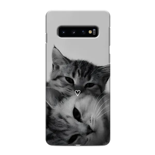 Чехол с принтом «Пара котов» для Samsung Galaxy s10 Plus