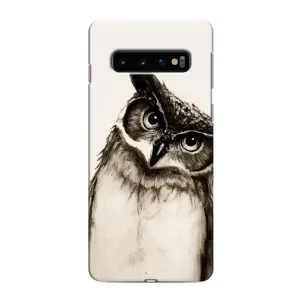 Чехол с птицами на Samsung Galaxy s10 Plus (VPrint) (Сова)