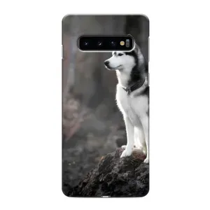 Чохол з Хаскі Samsung s10 Plus - (AlphaPrint) (Вірний собака)