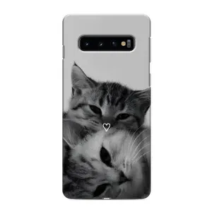 Чохол з малюнком кіт на Samsung Galaxy S10 (Пара котів)