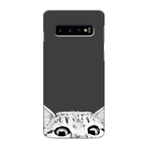 Чохол на Самсунґ Ґелексі S10 з Котиками (VPrint) (Виглядає котик)