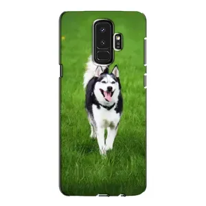 Чехол с Хаски для Samsung S9 Plus G965 - (AlphaPrint) (Радостный Хаски)