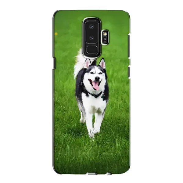 Чехол с принтом «Радостный Хаски» для Samsung Galaxy S9 Plus (G965) Чехол с принтом «Радостный Хаски» для Samsung Galaxy S9 Plus (G965)