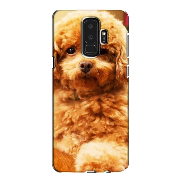 Чехол с принтом «Щенок Бишон» для Samsung Galaxy S9 Plus (G965) Чехол с принтом «Щенок Бишон» для Samsung Galaxy S9 Plus (G965)