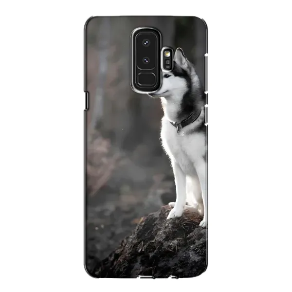 Чехол с принтом «Верный пес» для Samsung Galaxy S9 Plus (G965) Чехол с принтом «Верный пес» для Samsung Galaxy S9 Plus (G965)
