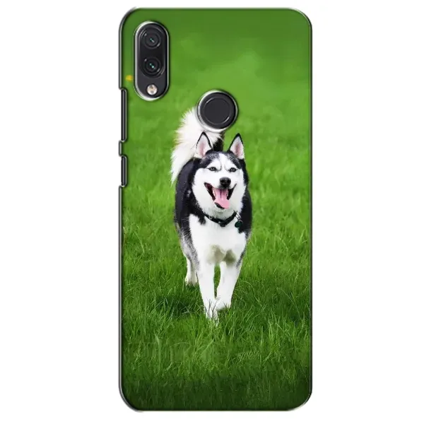 Чехол с принтом «Радостный Хаски» для Samsung Galaxy M01s Чехол с принтом «Радостный Хаски» для Samsung Galaxy M01s