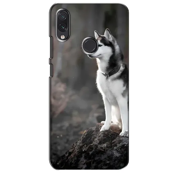Чехол с принтом «Верный пес» для Samsung Galaxy M01s Чехол с принтом «Верный пес» для Samsung Galaxy M01s