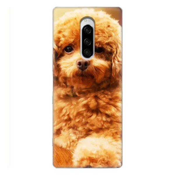 Чохол з принтом «Цуценя Бішон» для Sony Xperia 1
