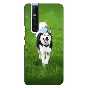 Чехол с принтом «Радостный Хаски» для TECNO Camon 15 Pro