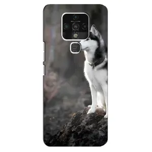 Чохол з Хаскі TECNO Camon 16 SE - (AlphaPrint) (Вірний собака)