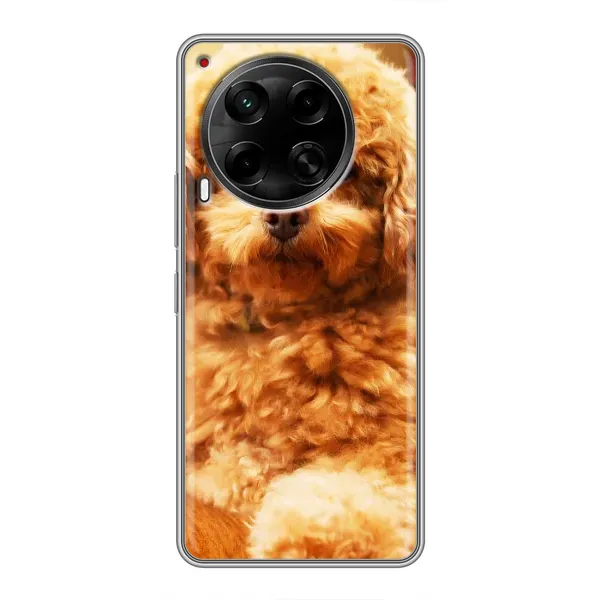 Чехол с принтом «Щенок Бишон» для TECNO Camon 30 (CL6)