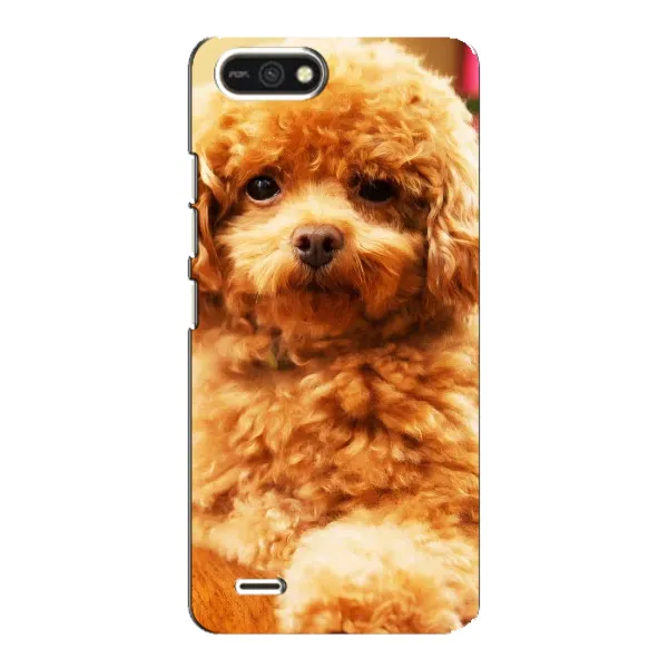 Чохол з принтом «Цуценя Бішон» для TECNO POP 2F