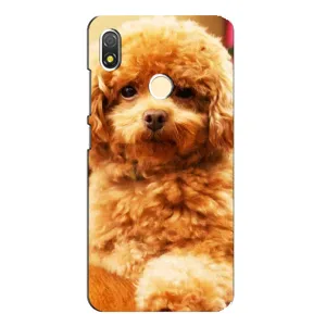 Чехол с принтом «Щенок Бишон» для TECNO POP 3