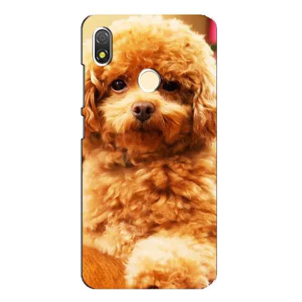 Чехол с принтом «Щенок Бишон» для TECNO POP 3 Чехол с принтом «Щенок Бишон» для TECNO POP 3