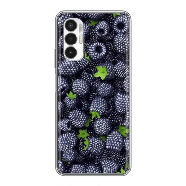 Чехол с принтом «Ежевика» для TECNO POVA 3 (LF7n)