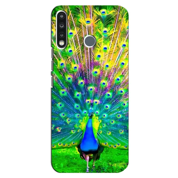 Чохол з принтом «Яскравий Павлин» для TECNO Spark 4