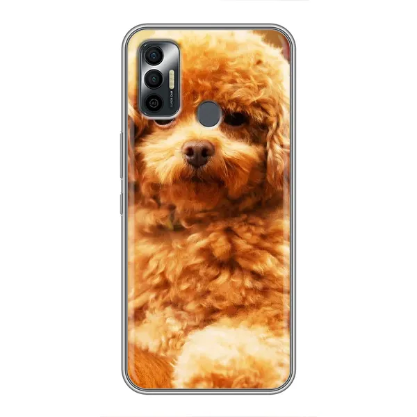Чехол с принтом «Щенок Бишон» для TECNO Spark 7P