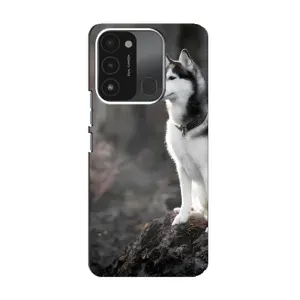 Чехол с Хаски для TECNO Spark 8C - (AlphaPrint) (Верный пес)