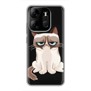 Чехол с принтом для Tecno Spark Go 2023 (BF7) (AlphaPrint) Модные коты (Грустный кот)