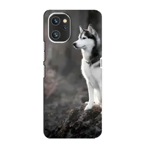 Чехол с Хаски для Umidigi A13 - (AlphaPrint) (Верный пес)