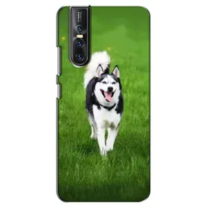 Чохол з Хаскі Vivo V15 Pro - (AlphaPrint) (Радісний Хаскі)