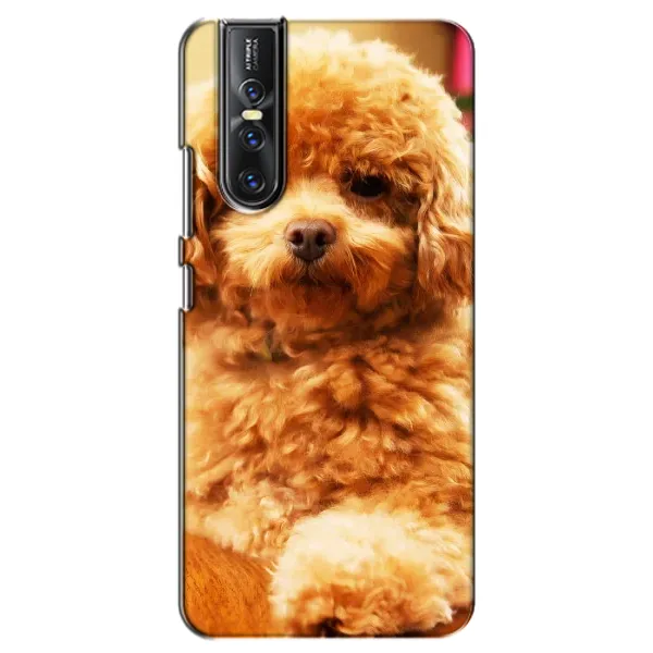 Чехол с принтом «Щенок Бишон» для Vivo V15 Pro Чехол с принтом «Щенок Бишон» для Vivo V15 Pro