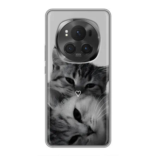 Чохол з принтом «Пара котів» для Vivo X200 PRO