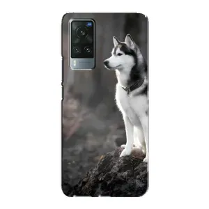 Чехол с Хаски для Vivo X60 - (AlphaPrint) (Верный пес)