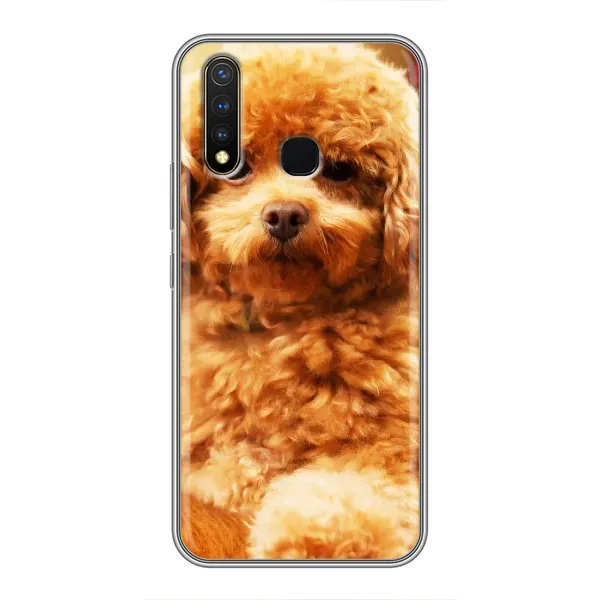 Чехол с принтом «Щенок Бишон» для Vivo Y19