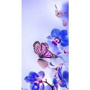 Чохли з квітами для Xiaomi 11T / 11T Pro (VPrint) (Метелик на квітах)