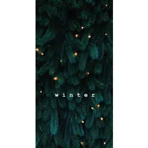 Новорічні, Святкові Чохли для Xiaomi 11T / 11T Pro - 2024 год (Winter)