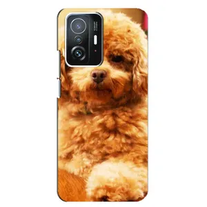 Чехлы с собаками для Xiaomi 11T / 11T Pro (VPrint) (Щенок Бишон)
