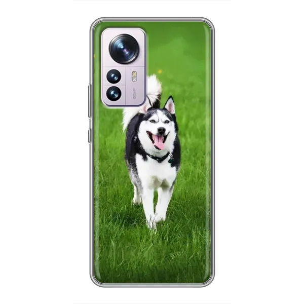 Чехол с принтом «Радостный Хаски» для Xiaomi 12 / 12X Чехол с принтом «Радостный Хаски» для Xiaomi 12 / 12X