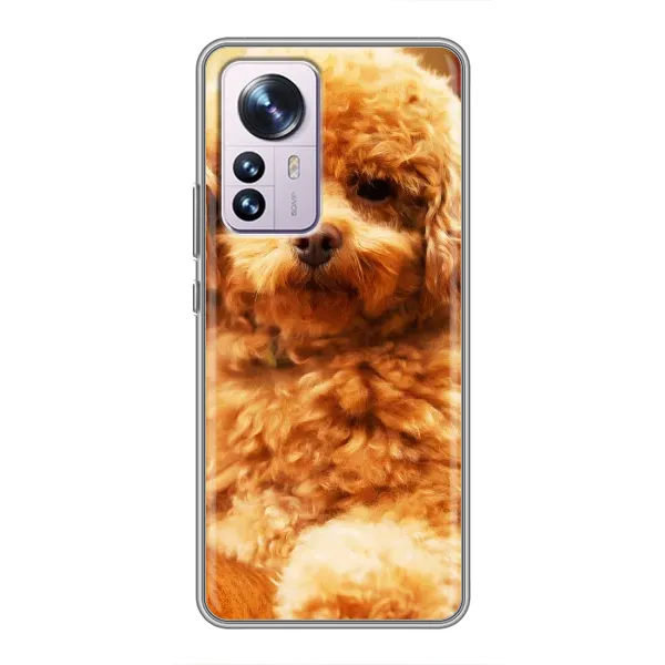Чехол с принтом «Щенок Бишон» для Xiaomi 12 / 12X