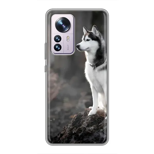 Чехол с принтом «Верный пес» для Xiaomi 12 / 12X Чехол с принтом «Верный пес» для Xiaomi 12 / 12X