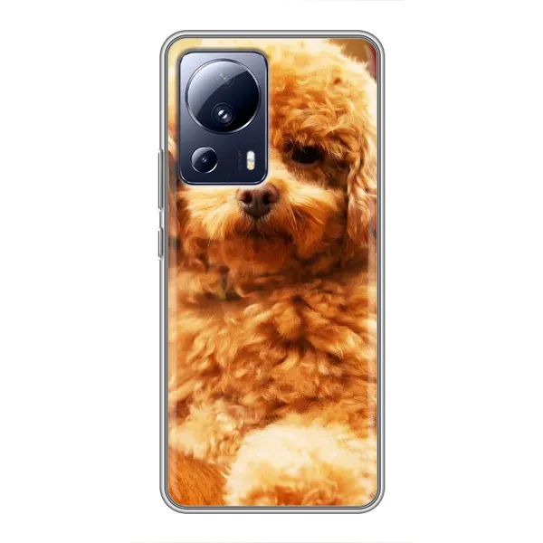 Чехол с принтом «Щенок Бишон» для Xiaomi 13 Lite