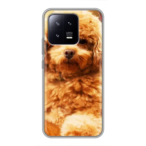 Чехол с принтом «Щенок Бишон» для Xiaomi 13